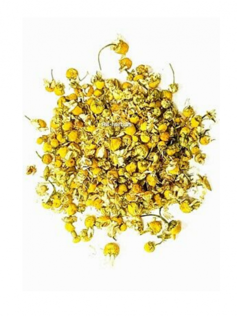 Chamomile Herb Image - MeaLifestyle