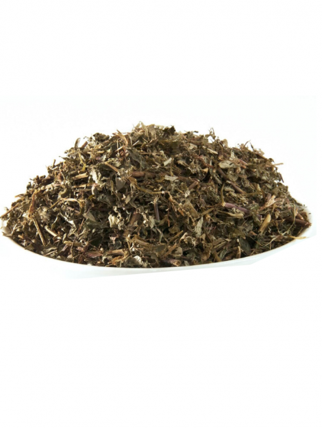 Chanca Piedra Image - MeaLifestyle