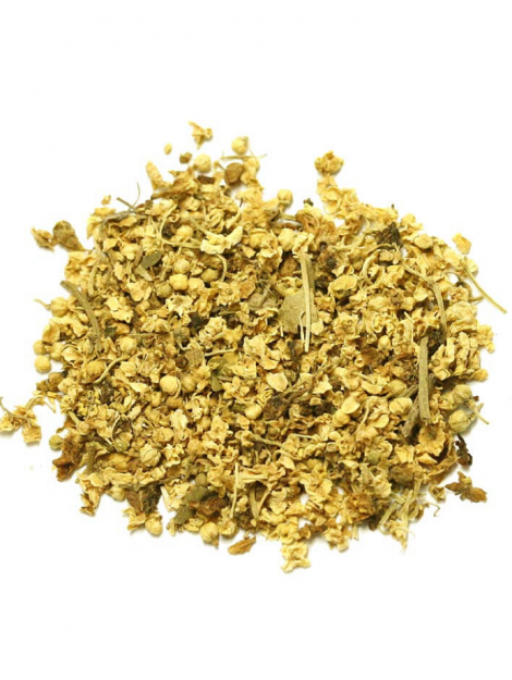 Elder Flower Herb Image - MeaLifestyle