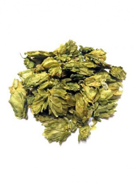 Hops Herb Image - MeaLifestyle