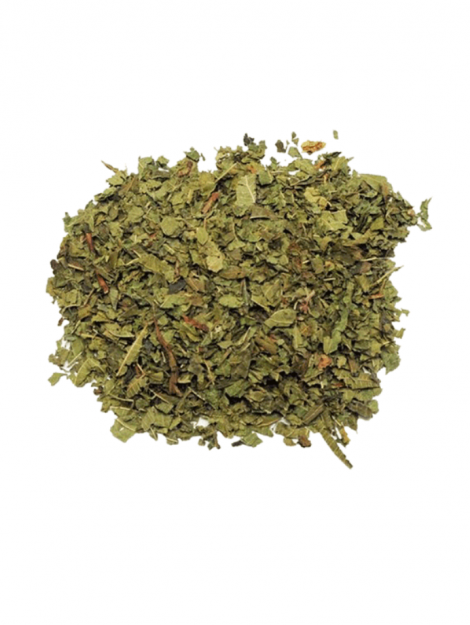 Lemon Verbena Herb Image - MeaLifestyle
