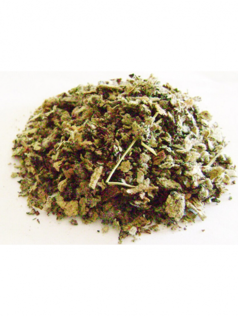 Mullein Leaf - Product Image