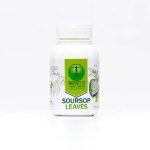 Soursop Leaf Capsules Product Image - MEA Lifestyle, Heath And Wellness Alkaline Online Store
